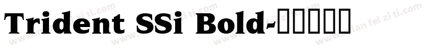 Trident SSi Bold字体转换